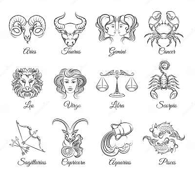 Zodiac Graphic Signs Vector Stock Vector - Illustration of archer ...