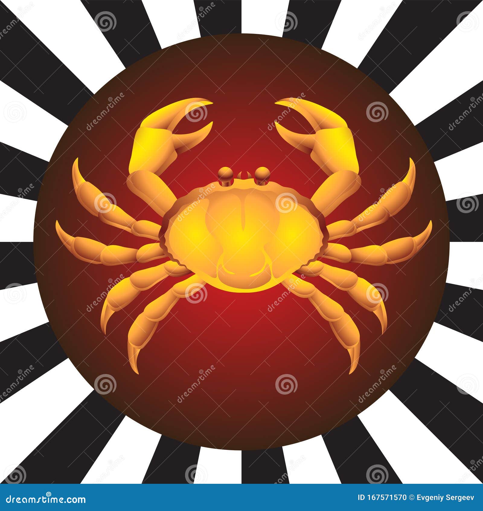 Zodiac Sign Animal Cancer on Isolated Background. Vector Image Stock Vector  - Illustration of astronomy, background: 167571570
