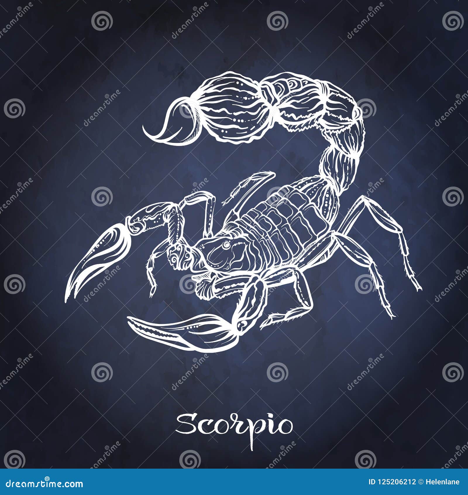 zodiac sign. astrological horoscope collection.  
