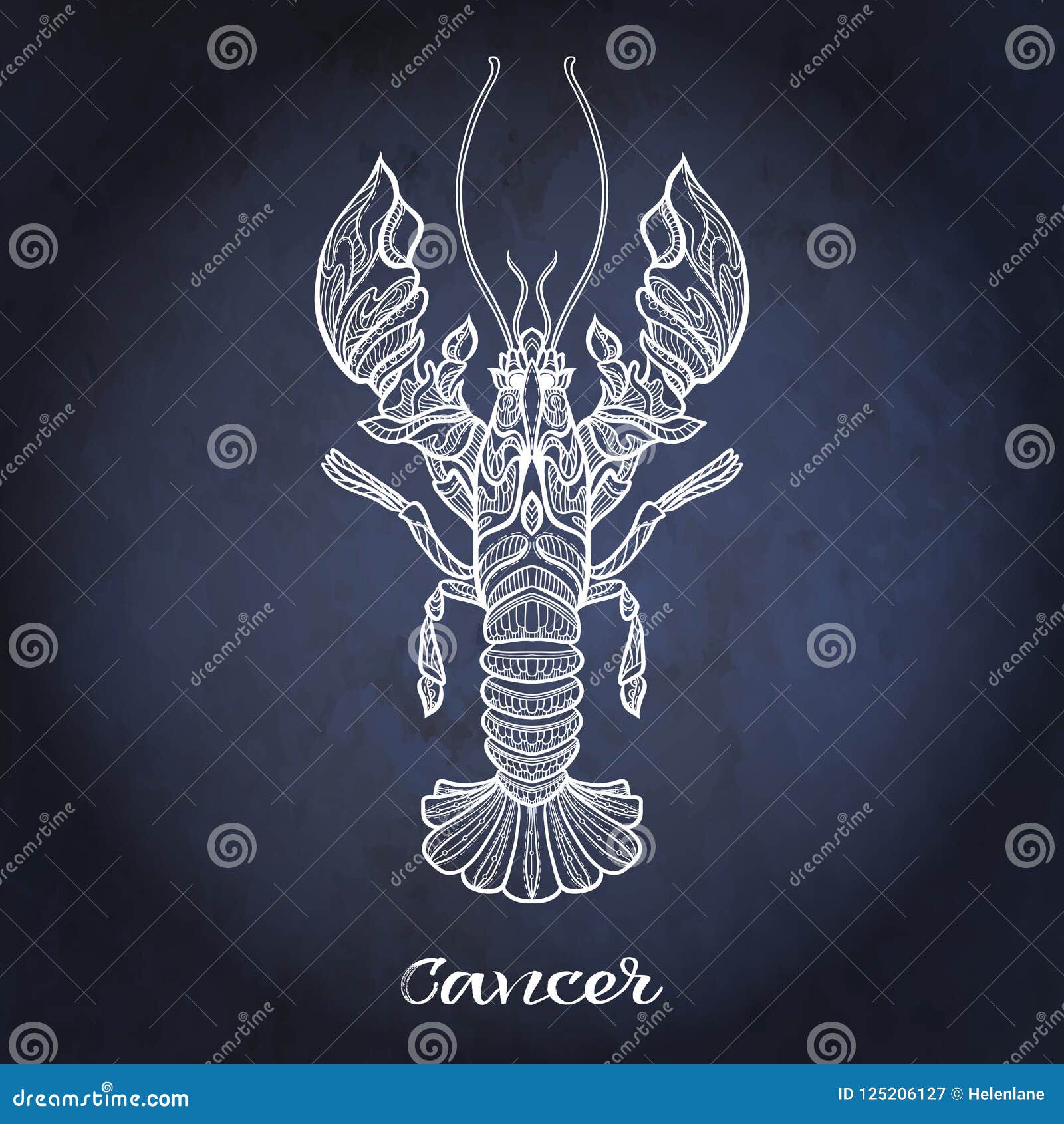 zodiac sign. astrological horoscope collection.  