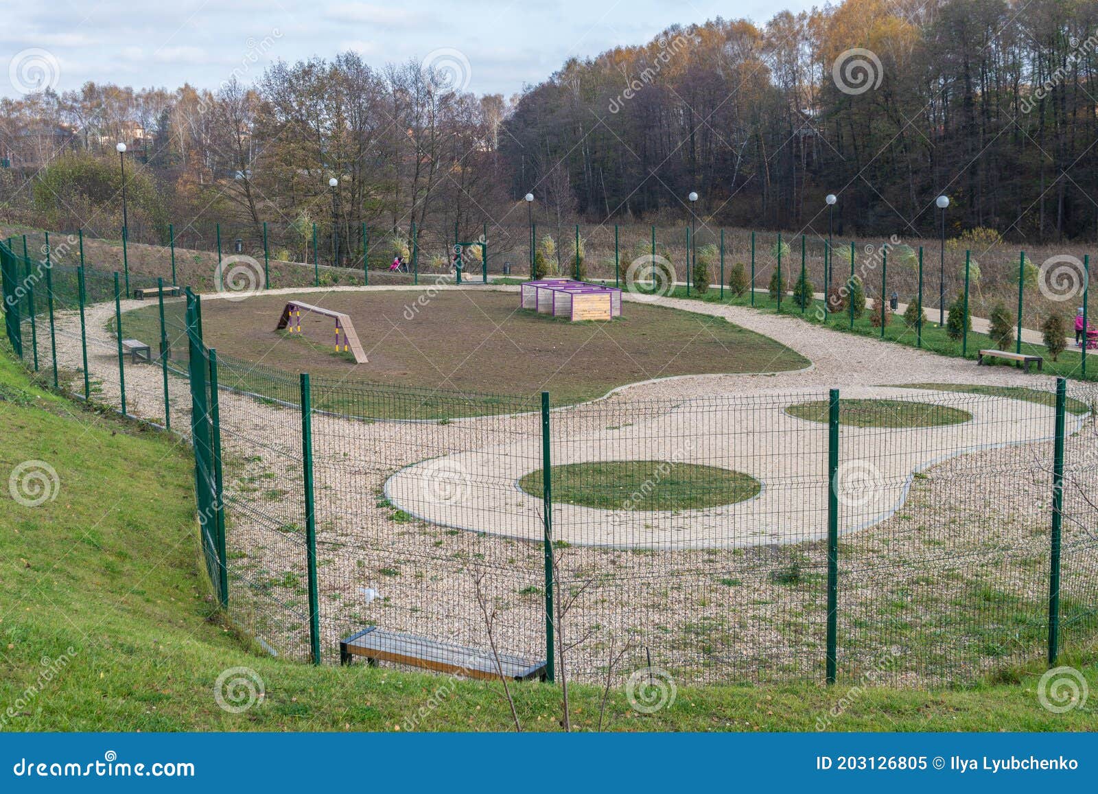 Zona De Juegos Para Perros Con Hierba Verde Vacía Y Cercada Con Una Valla  Imagen de archivo - Imagen de arroje, belleza: 203126805