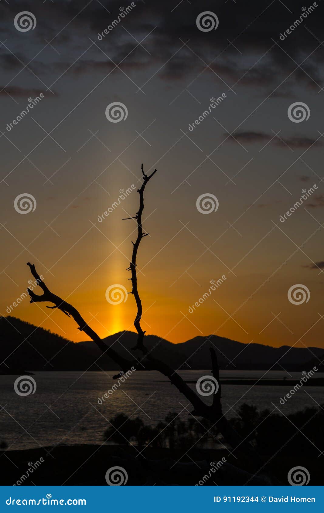 Verticaal beeld van een Zonpijler bij Zonsondergang die een Meer met een Naast elkaar geplaatste Boom overzien