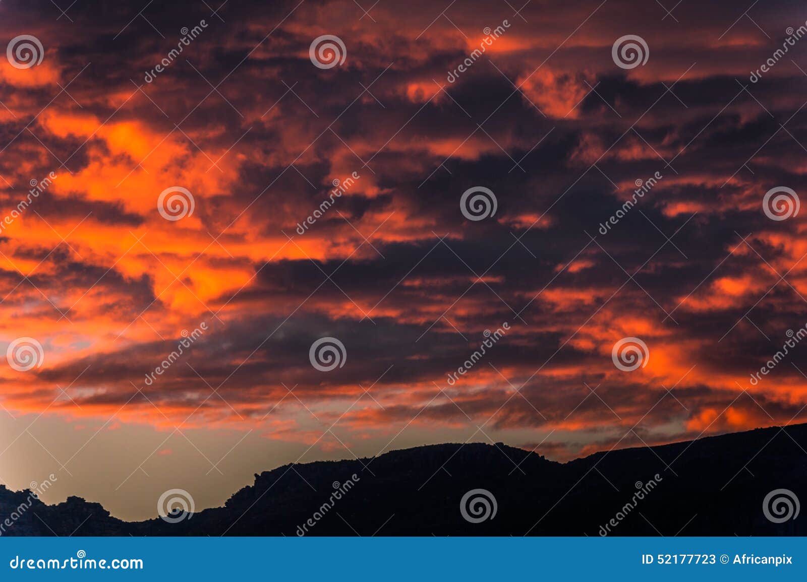 Zonsondergang en Silhouetten De donkerrode kabeljauwen wijzen op de het plaatsen zon