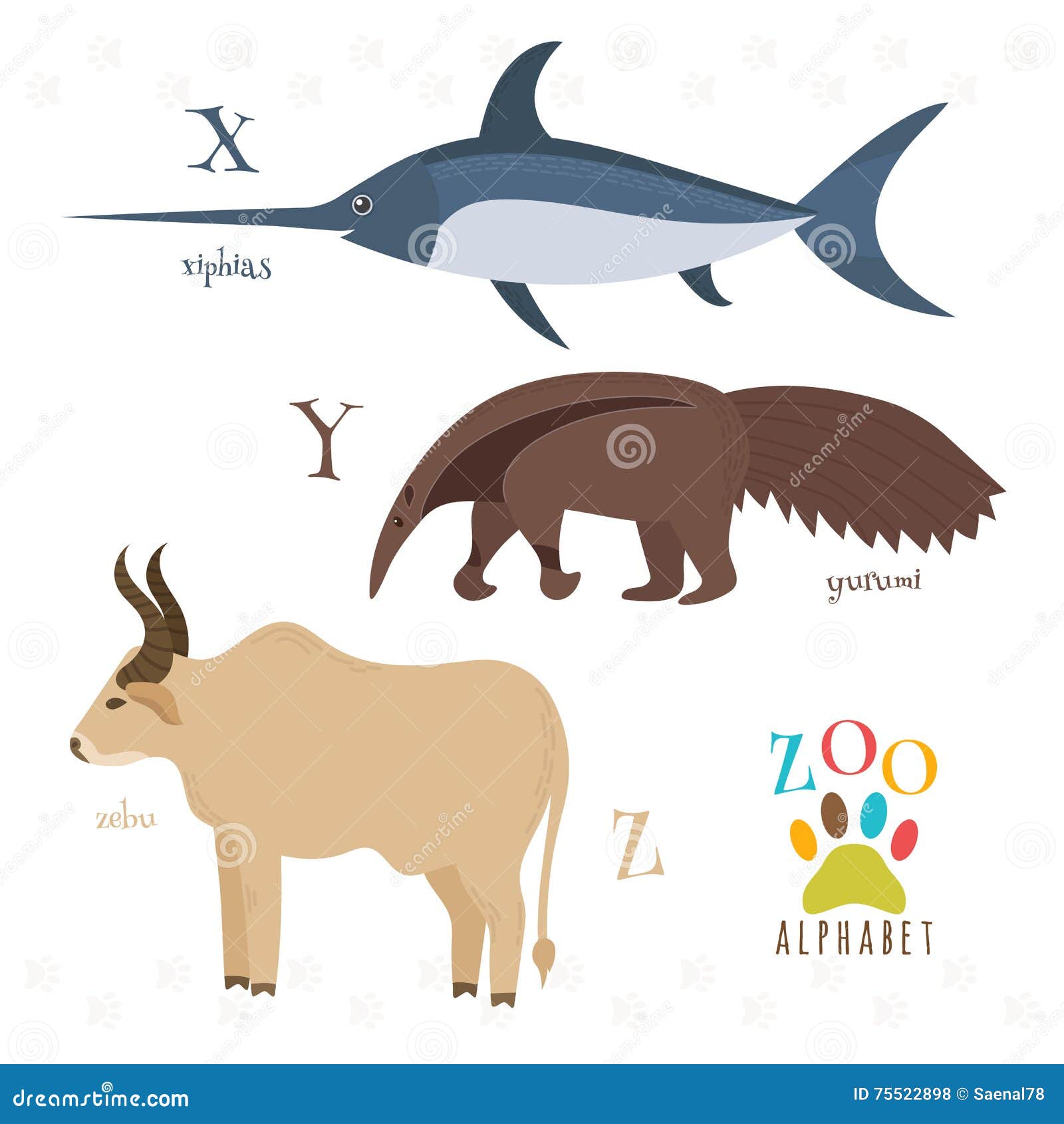 Zoo Alphabet with Funny Cartoon Animals. X, Y, Z Letters. Xiphias, Yurumi,  Zebu Stock Vector - Illustration of learn, poster: 75522898