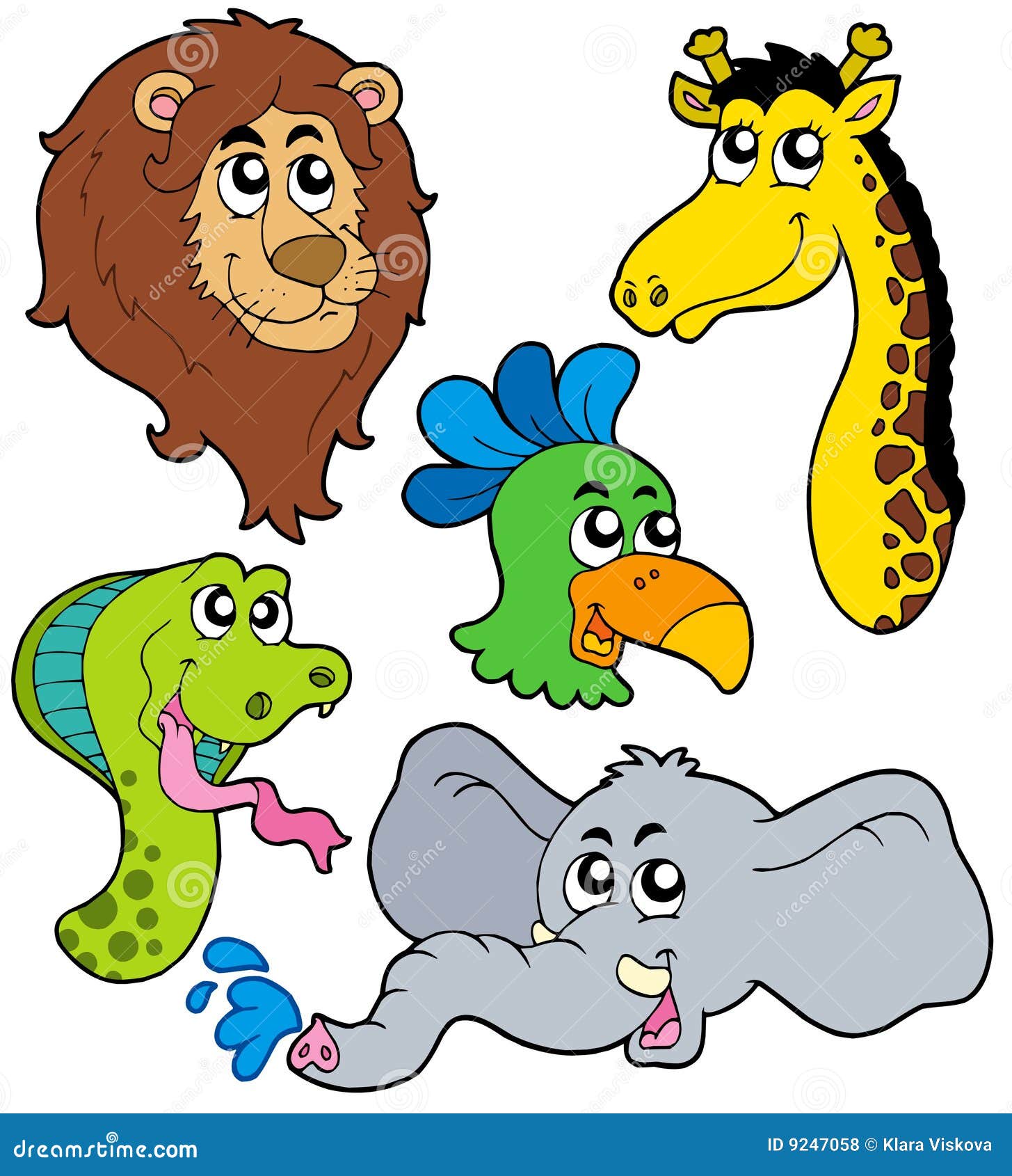 zoo animals collection 6