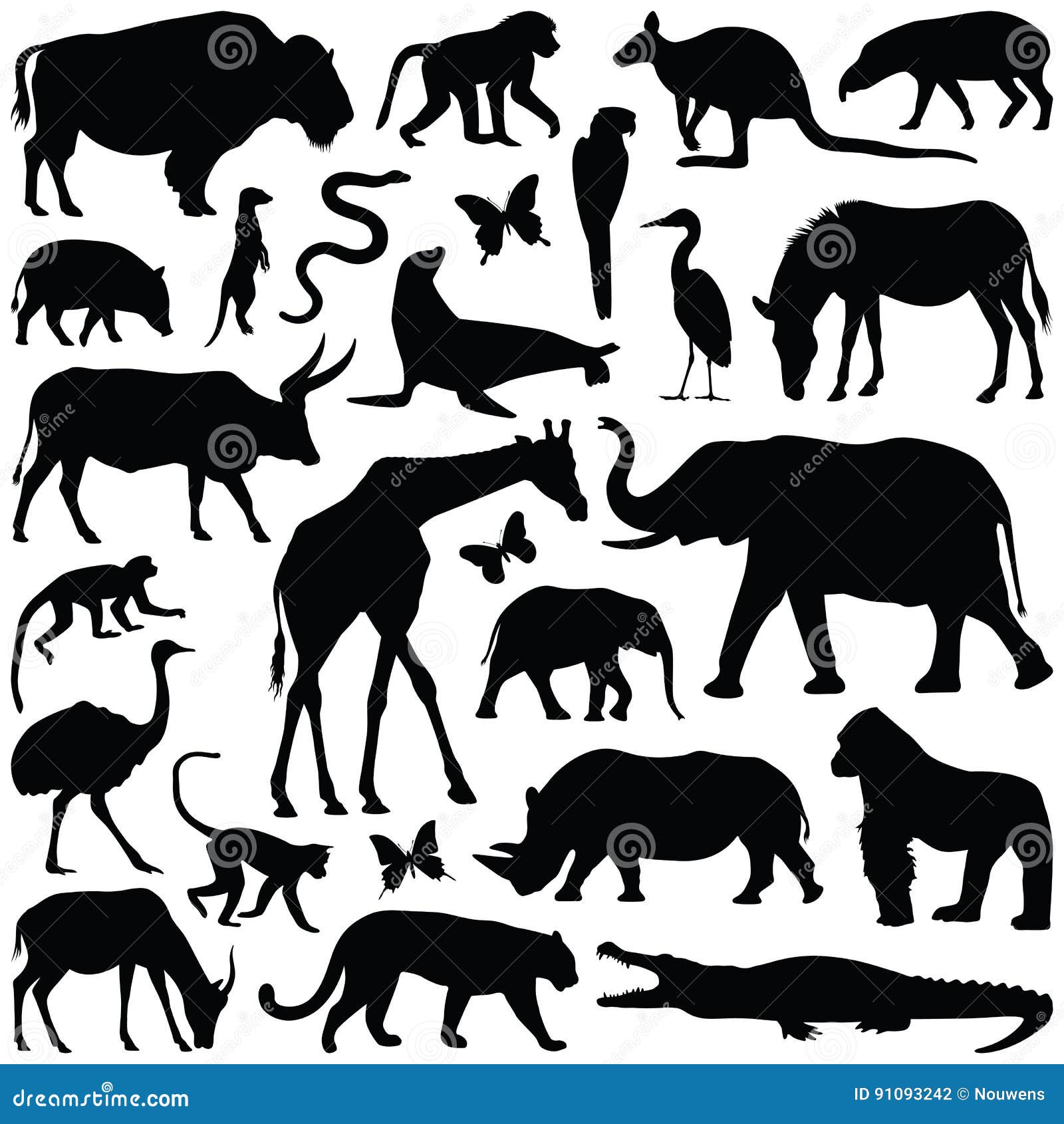 Zoo Animals Vector Illustration Stock Vector Illustration of baboon