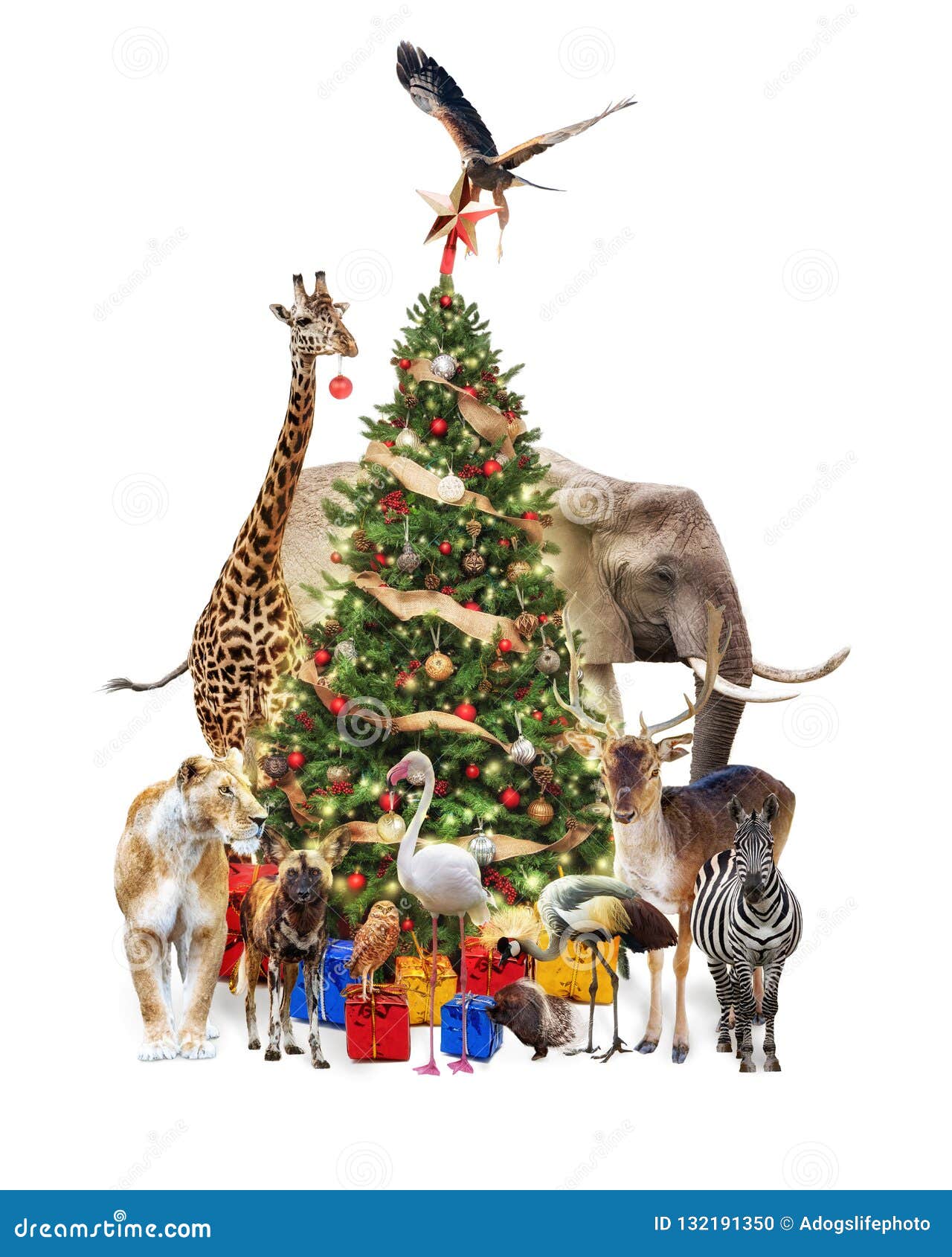 6,831 Animals Christmas Tree Stock Photos - Free & Royalty-Free Stock Photos from Dreamstime 6,831 Animals Christmas Tree Stock Photos - Free & Royalty-Free Stock Photos from Dreamstime
