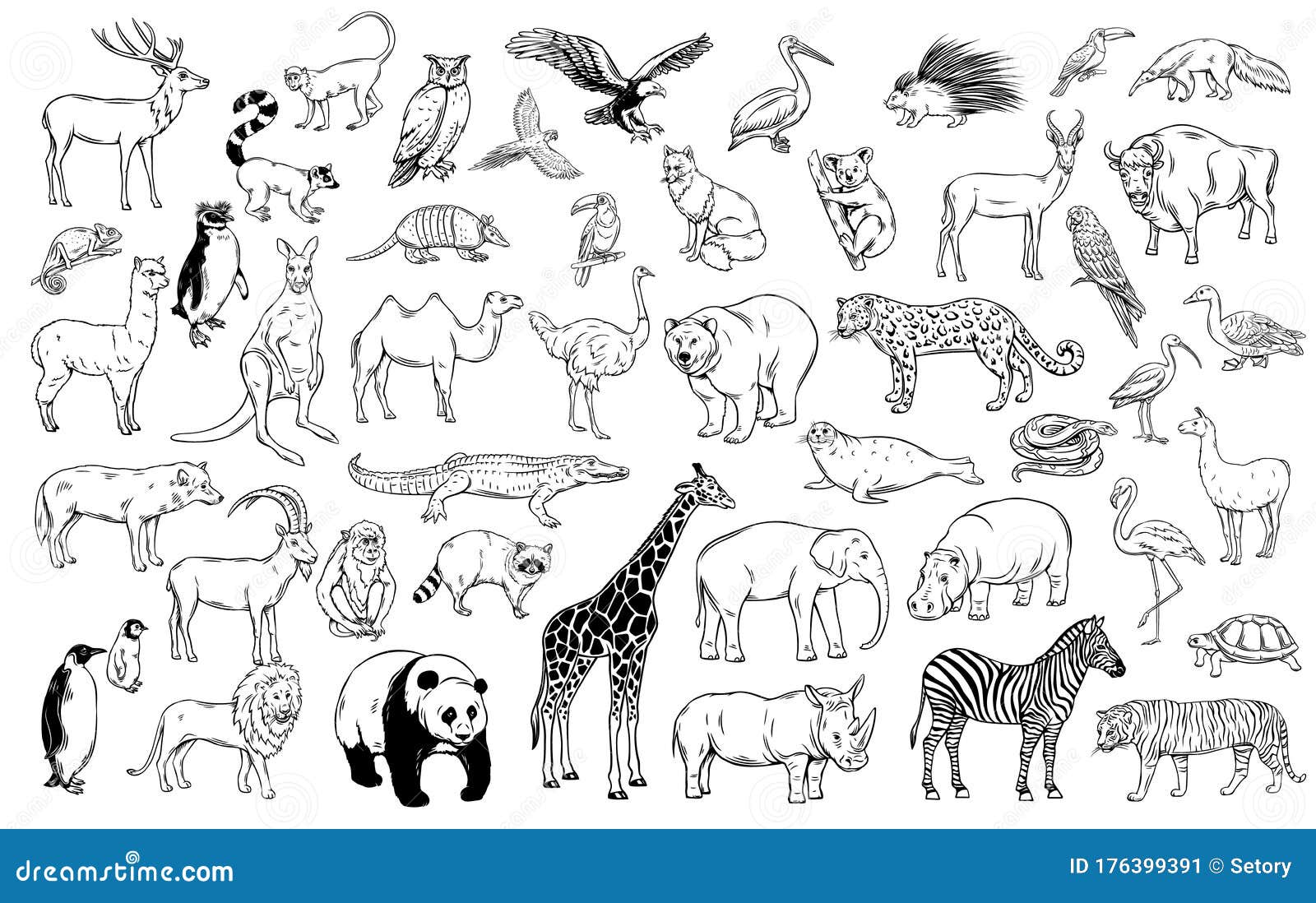 Zoo animals traditional stock vector. Illustration of deer - 176399391 Zoo animals traditional stock vector. Illustration of deer - 176399391