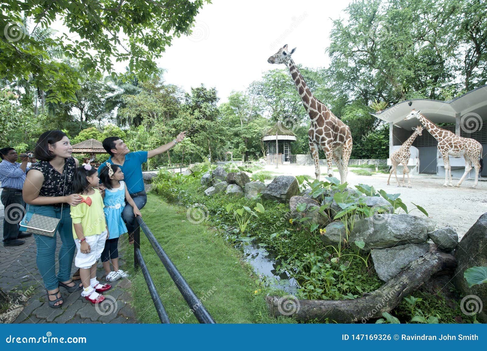 Zoo malaysia national of Zoo Negara