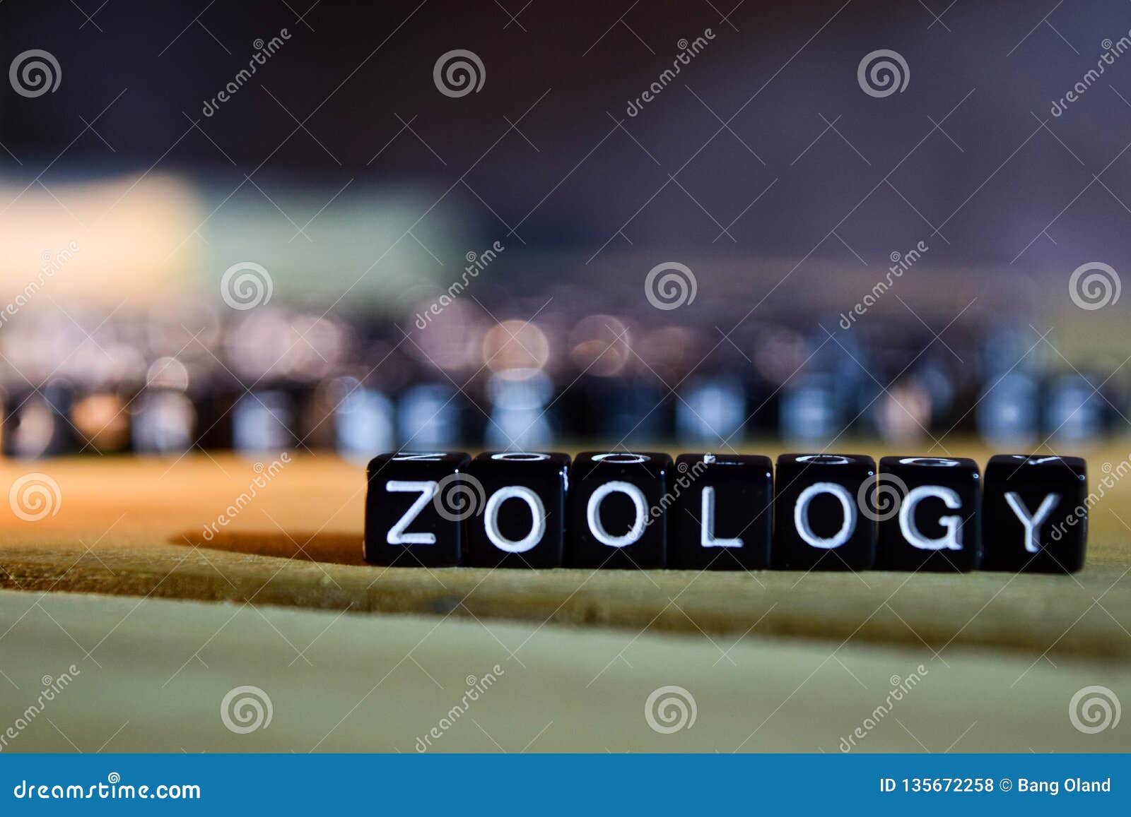 zoology concept wooden blocks on the table.