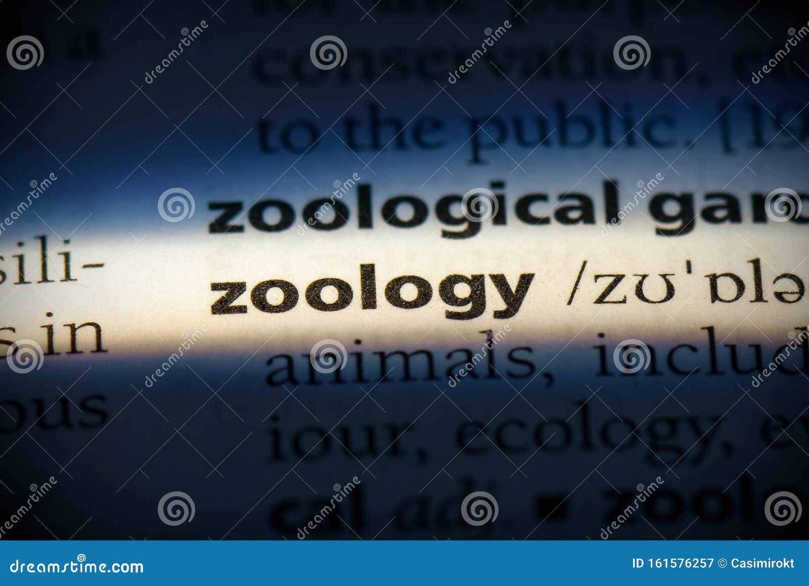 Zoology stock image. Image of language, word, info, reference 161576257
