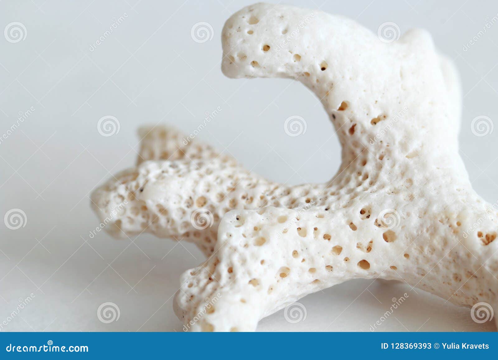 https://thumbs.dreamstime.com/z/zoom-macro-beautiful-photo-background-sprig-dried-sea-coral-structure-white-128369393.jpg