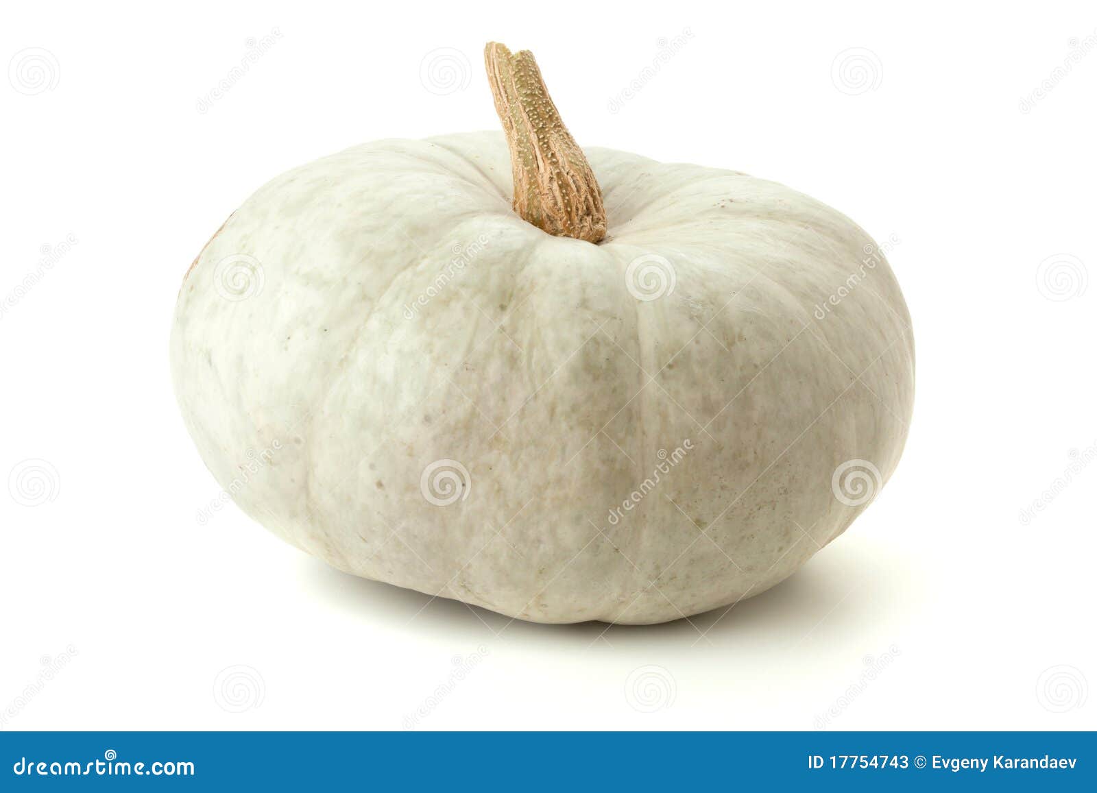 Cucurbita Pepo - Bottle Gourd Or Pilgrim's Gourd (1 Pack Of Seeds - Foto 6