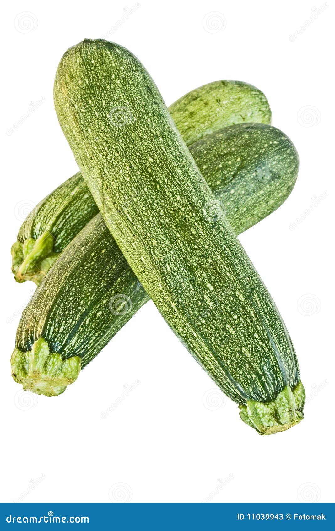 Zucchini stock image. Image of clipping, diet, vertical 11039943
