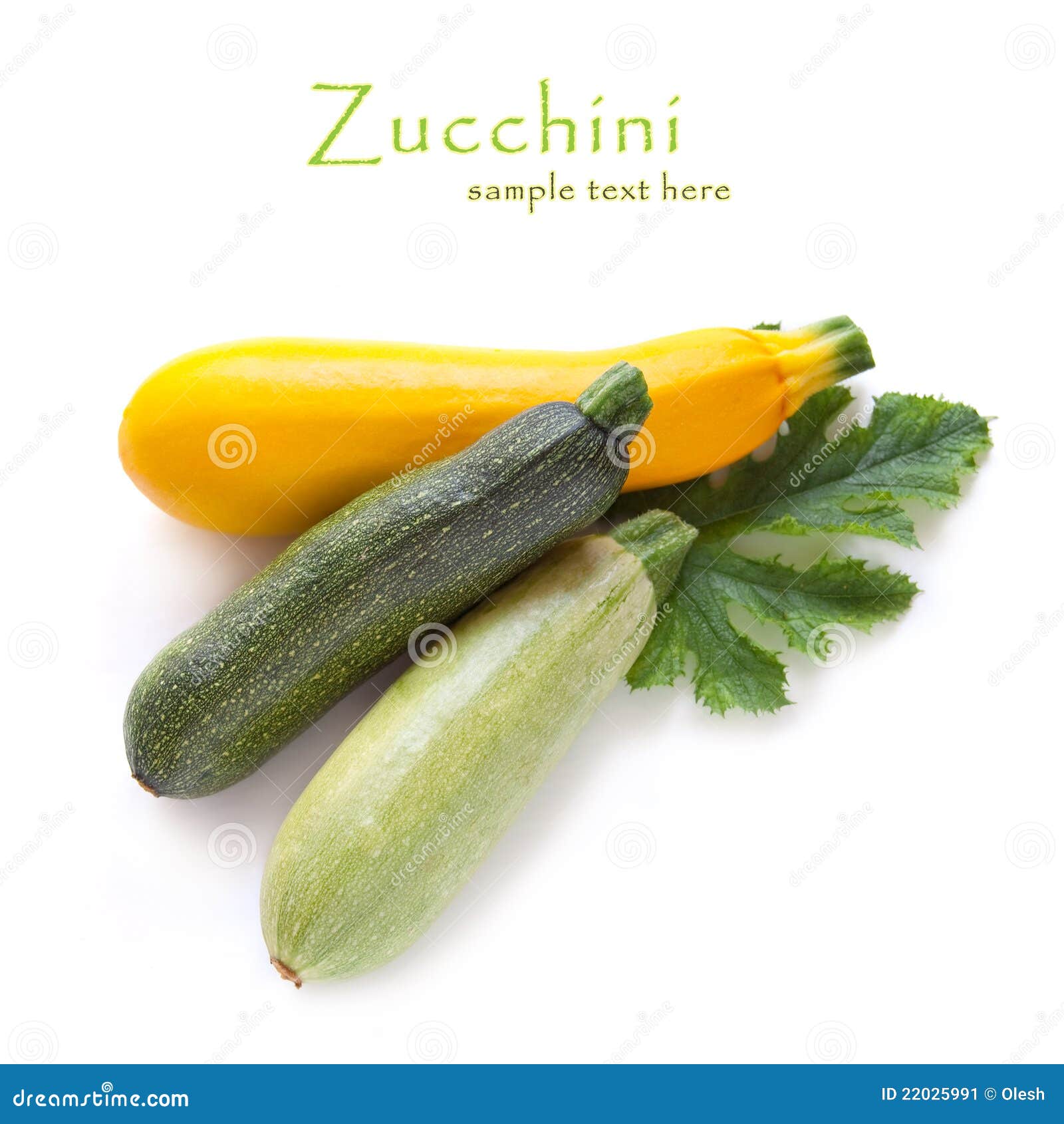 Zucchini stock image. Image of seasonal, fresh, nutrition 22025991