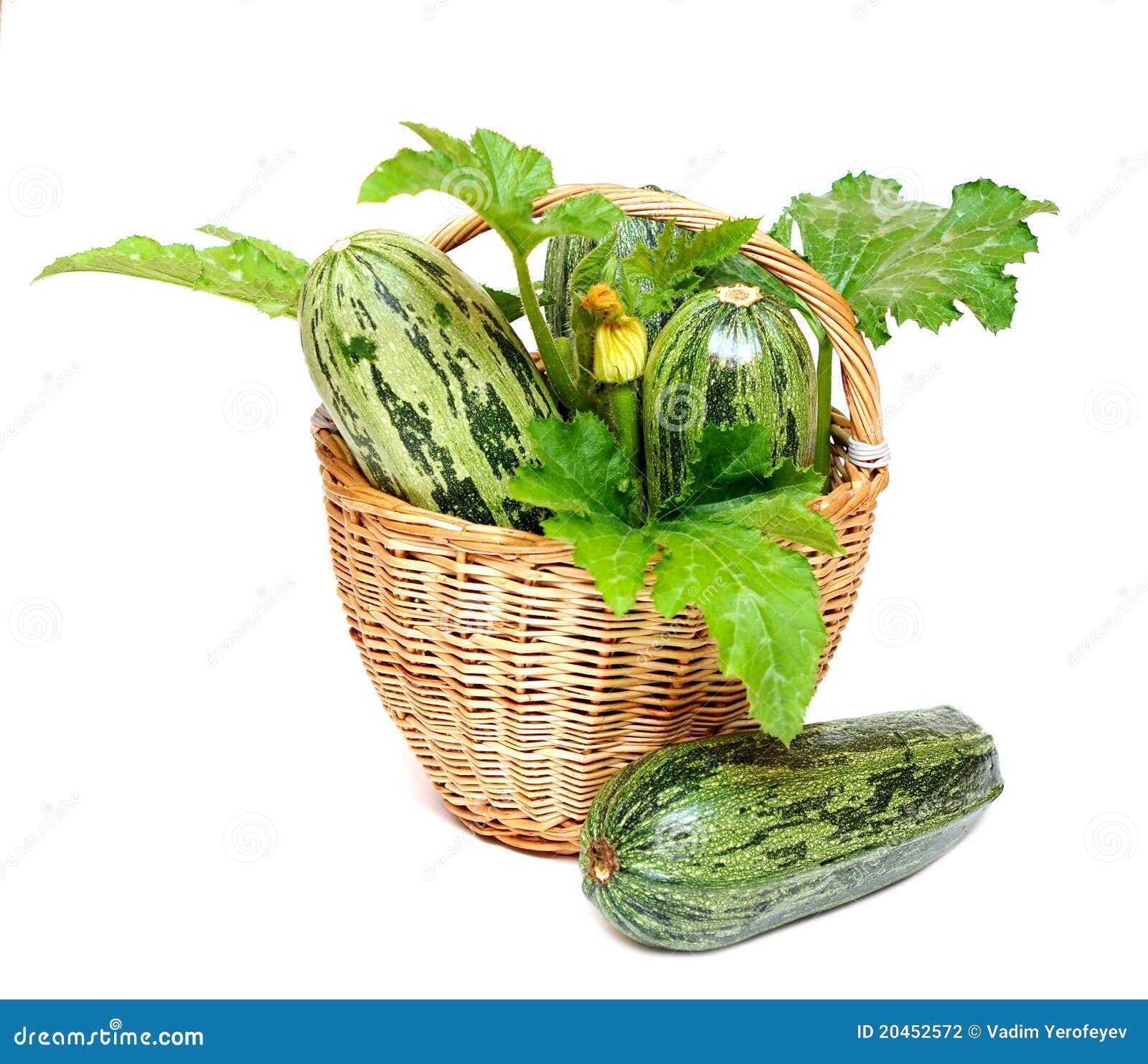 Zucchini in a basket stock photo. Image of fresh, delicious 20452572