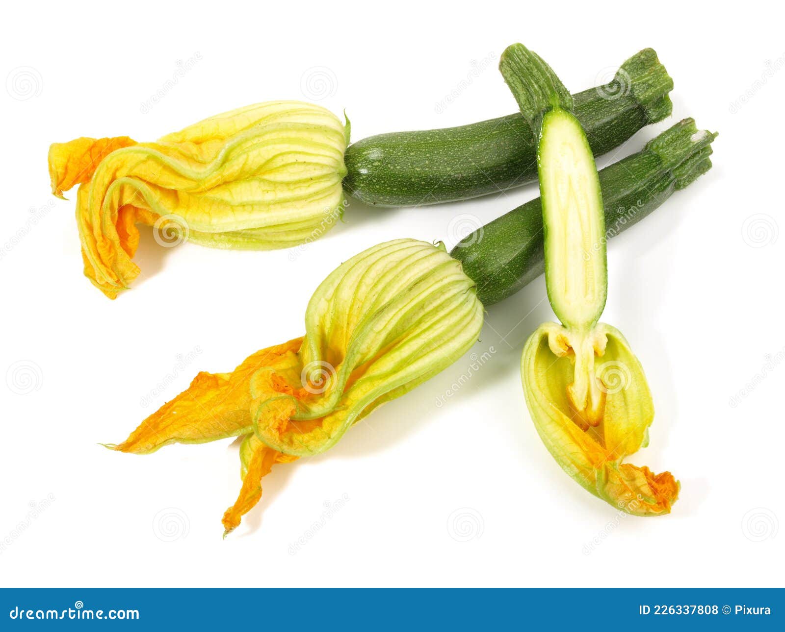 Zucchini Blossoms on White Background Isolated Stock Photo Image of