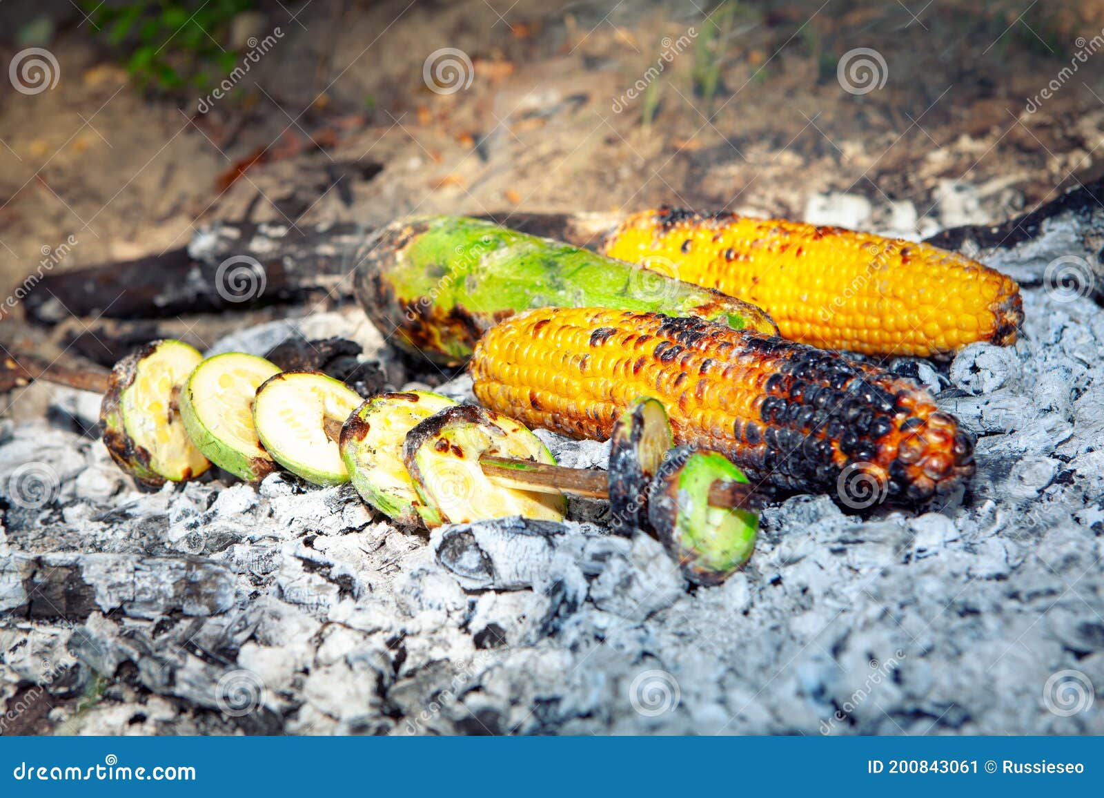 Zucchini and Corn on the Campfire Stock Image Image of cereal, warm