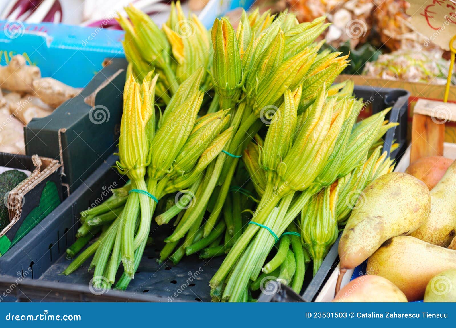 Zucchini Flowers in the Market Stock Image Image of flowers, fresh