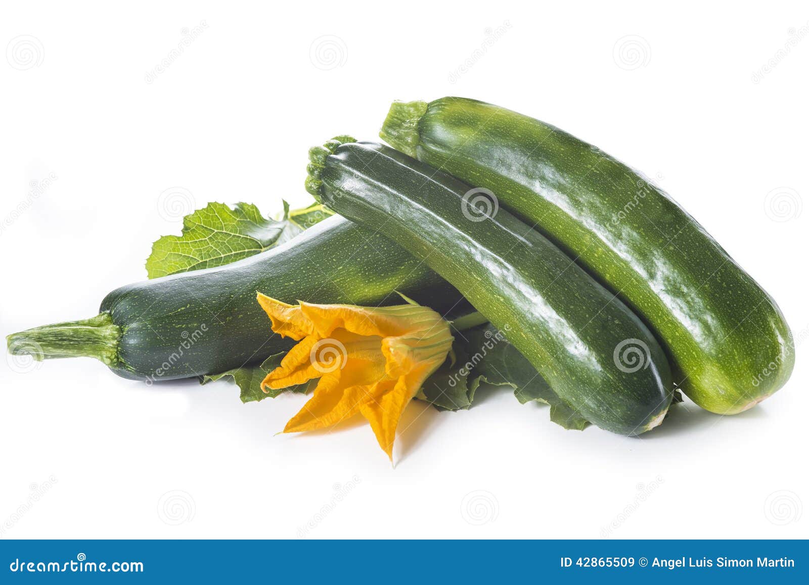 Zucchini with Leaves and Flowers Stock Image Image of green, edible