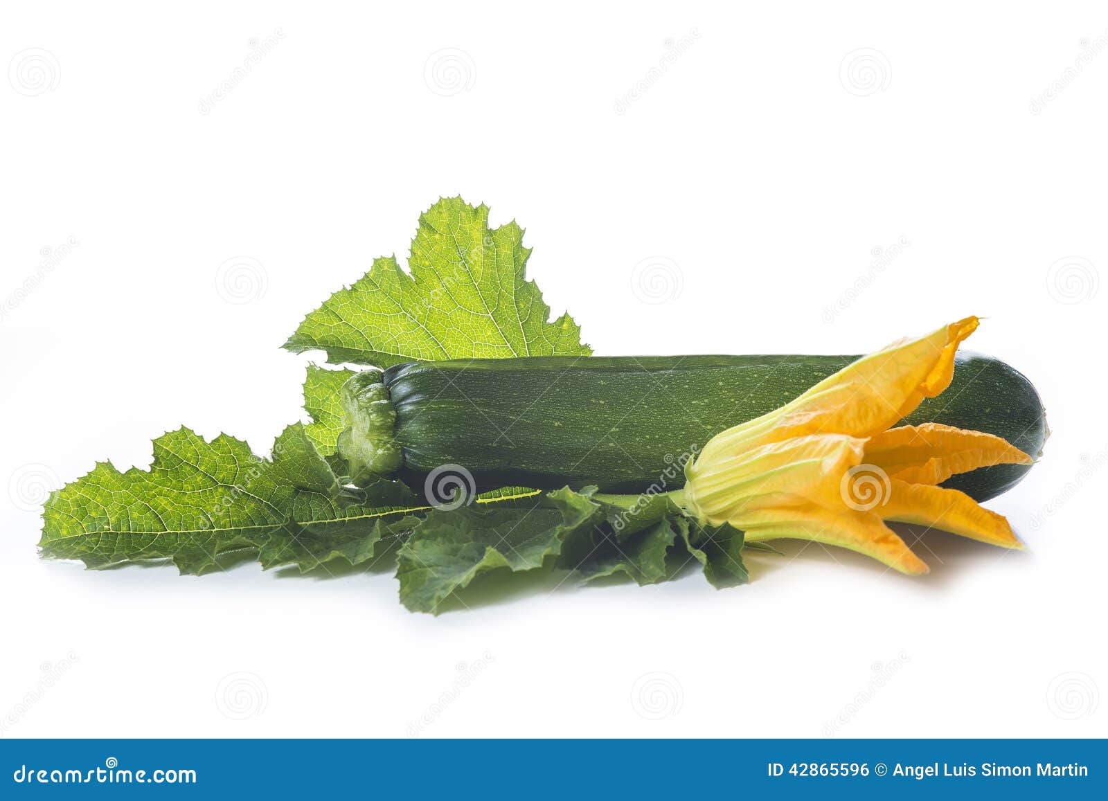 Zucchini with Leaves and Flowers Stock Photo Image of edible