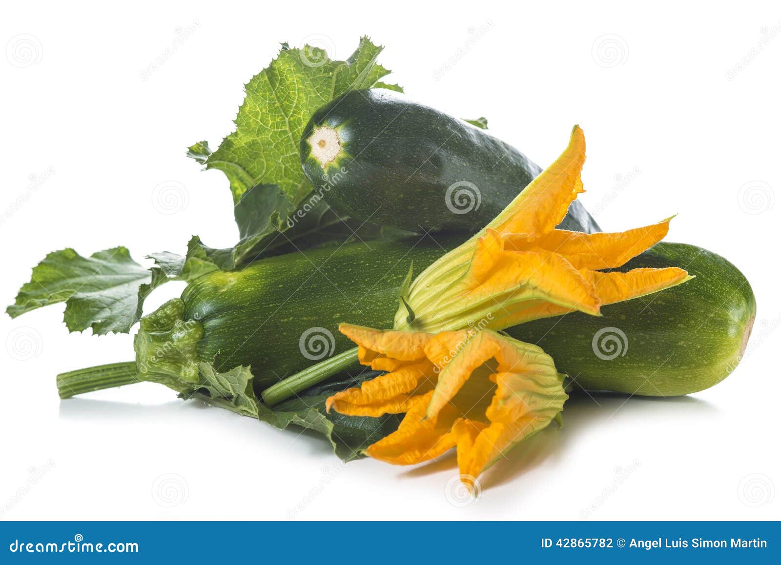 Zucchini with Leaves and Flowers Stock Photo Image of white