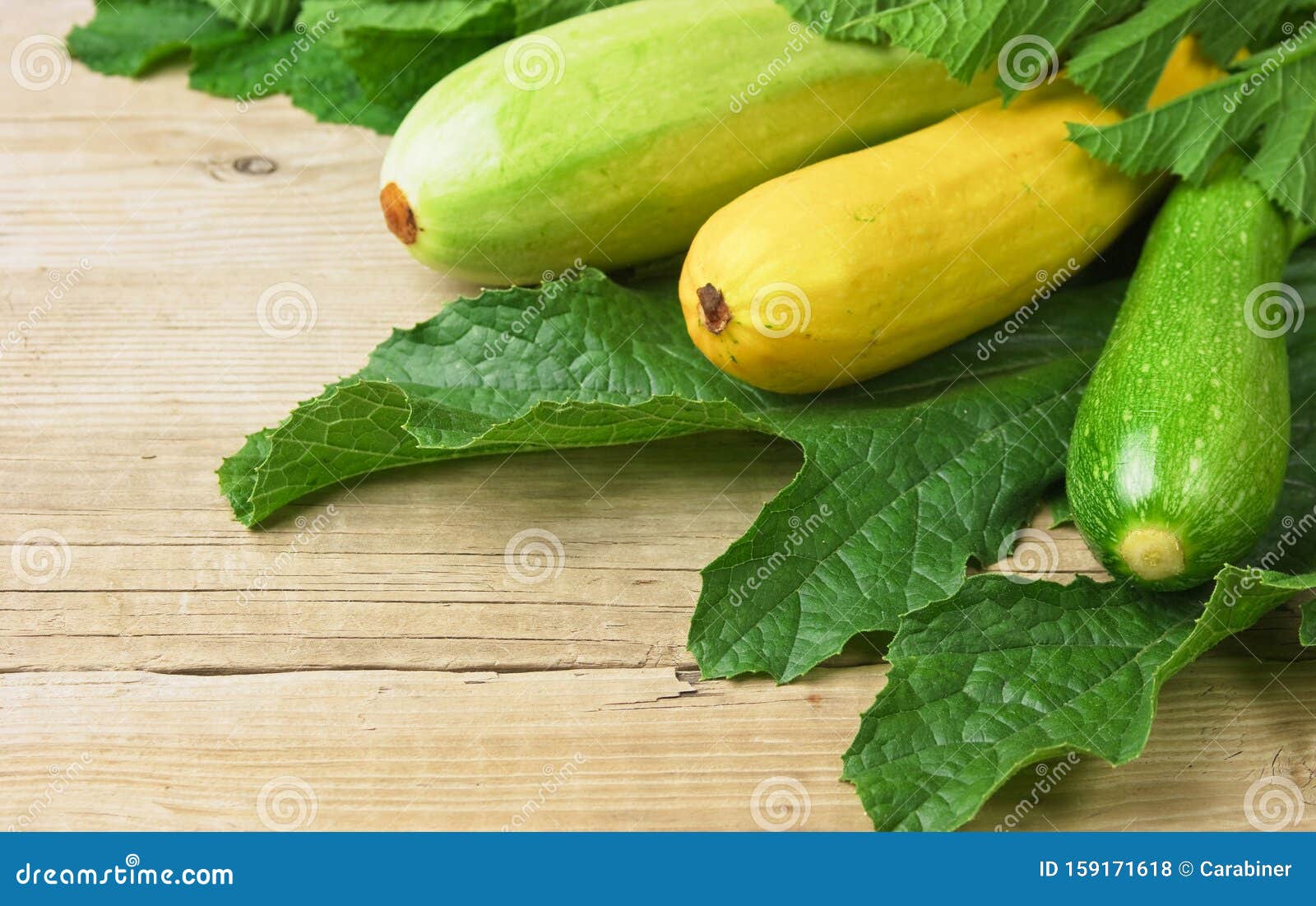 Zucchini with leaves stock photo. Image of leaves, still 159171618