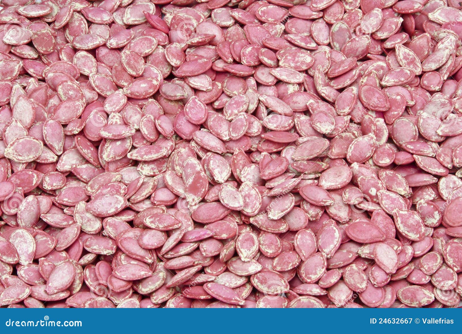 Zucchini seeds stock image. Image of protectant, kernel 24632667