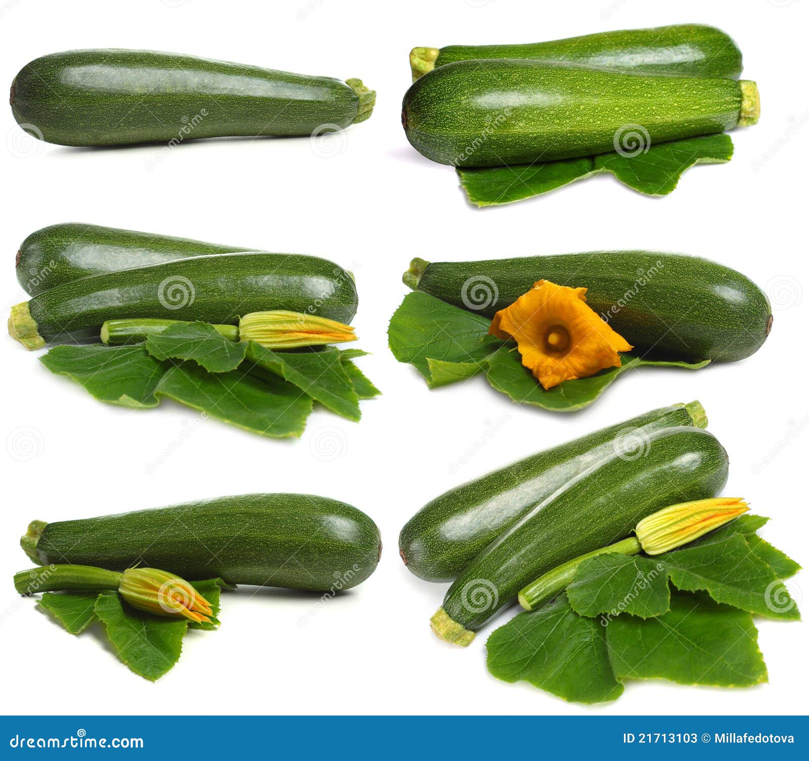 Zucchini vegetable set stock image. Image of nutrition 21713103