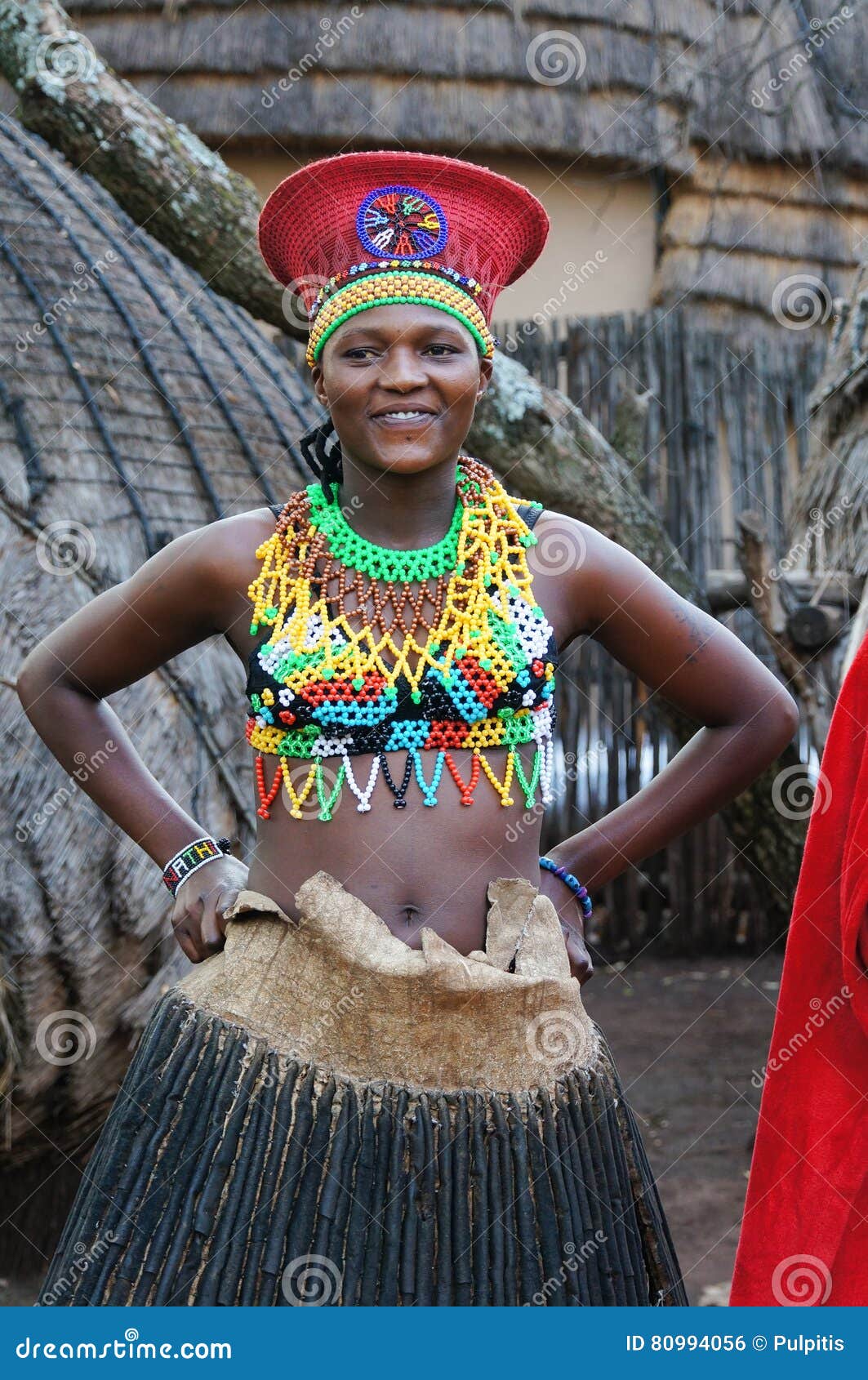 The Zulu in South Africa