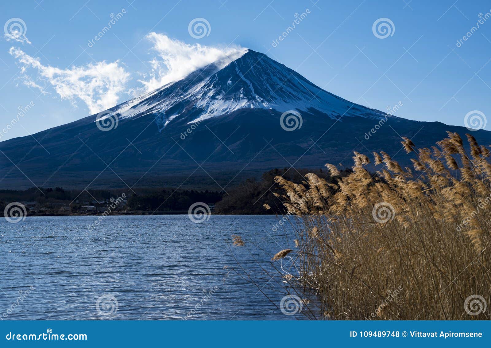Zummi il supporto Fujit con priorità alta del lago e dell'erba lunga. Il monte Fuji nell'inverno con priorità alta del lago e dell'erba lunga