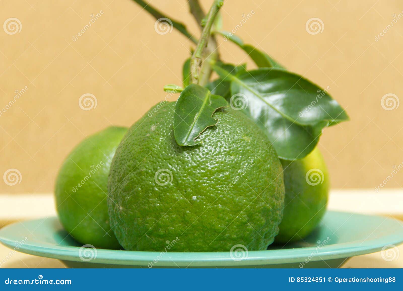 Zure Oranje, Bittere Sinaasappel Stock Afbeelding Image of plantkunde, bloesem 85324851