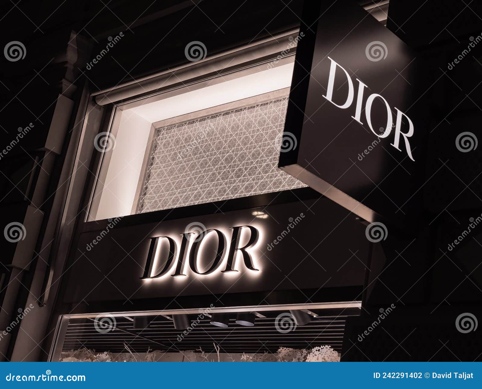 Dior  Luxury French Fashion House