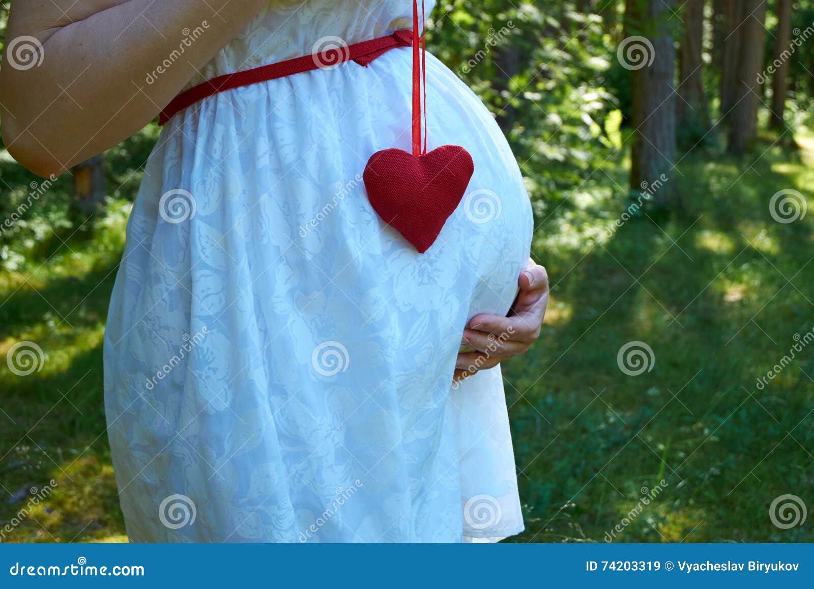 Zwangerschap stock afbeelding. Image of zwangerschap 74203319