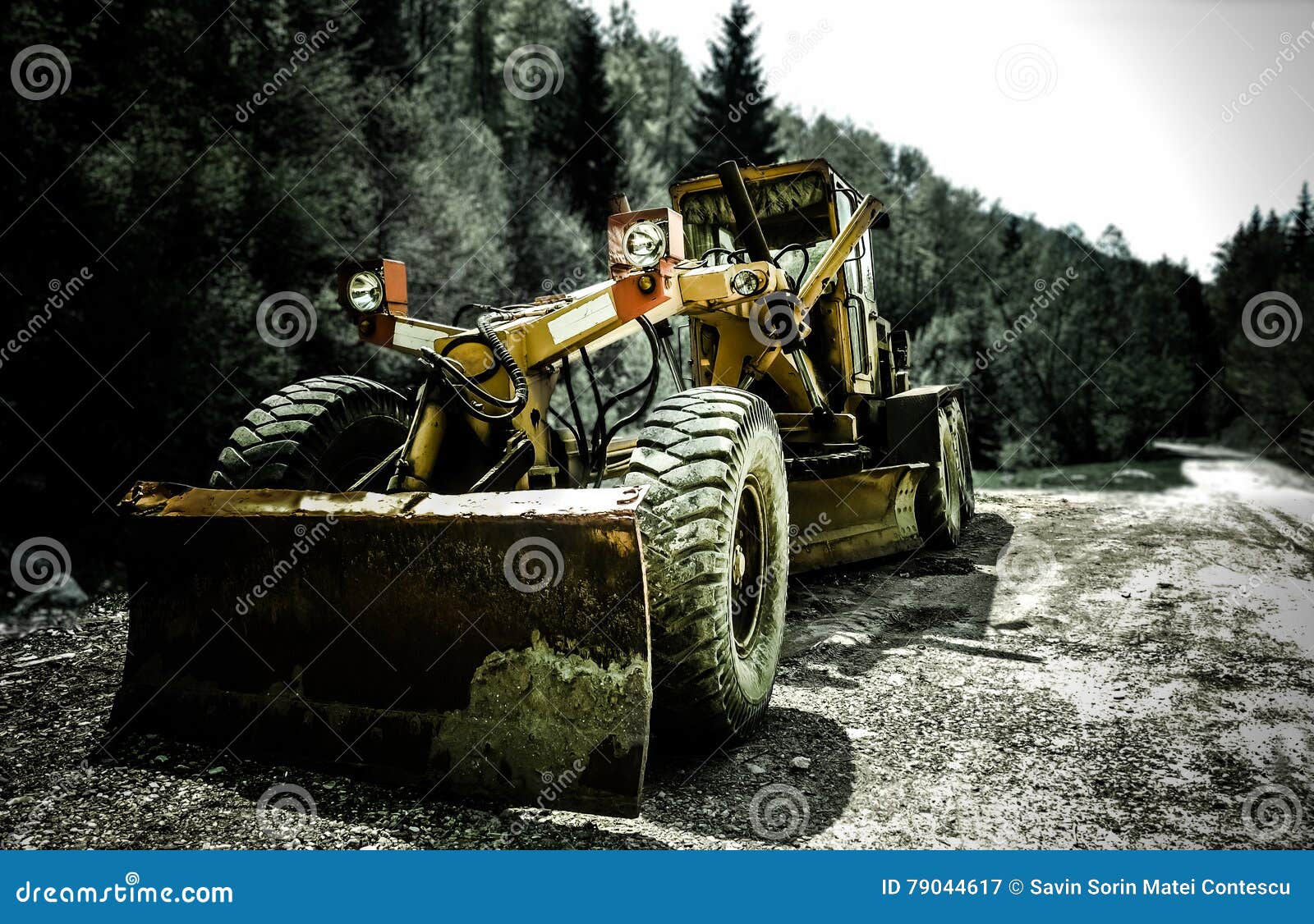 Zware bulldozer op het werk aangaande een landelijke weg met speldbomen op de achtergrond