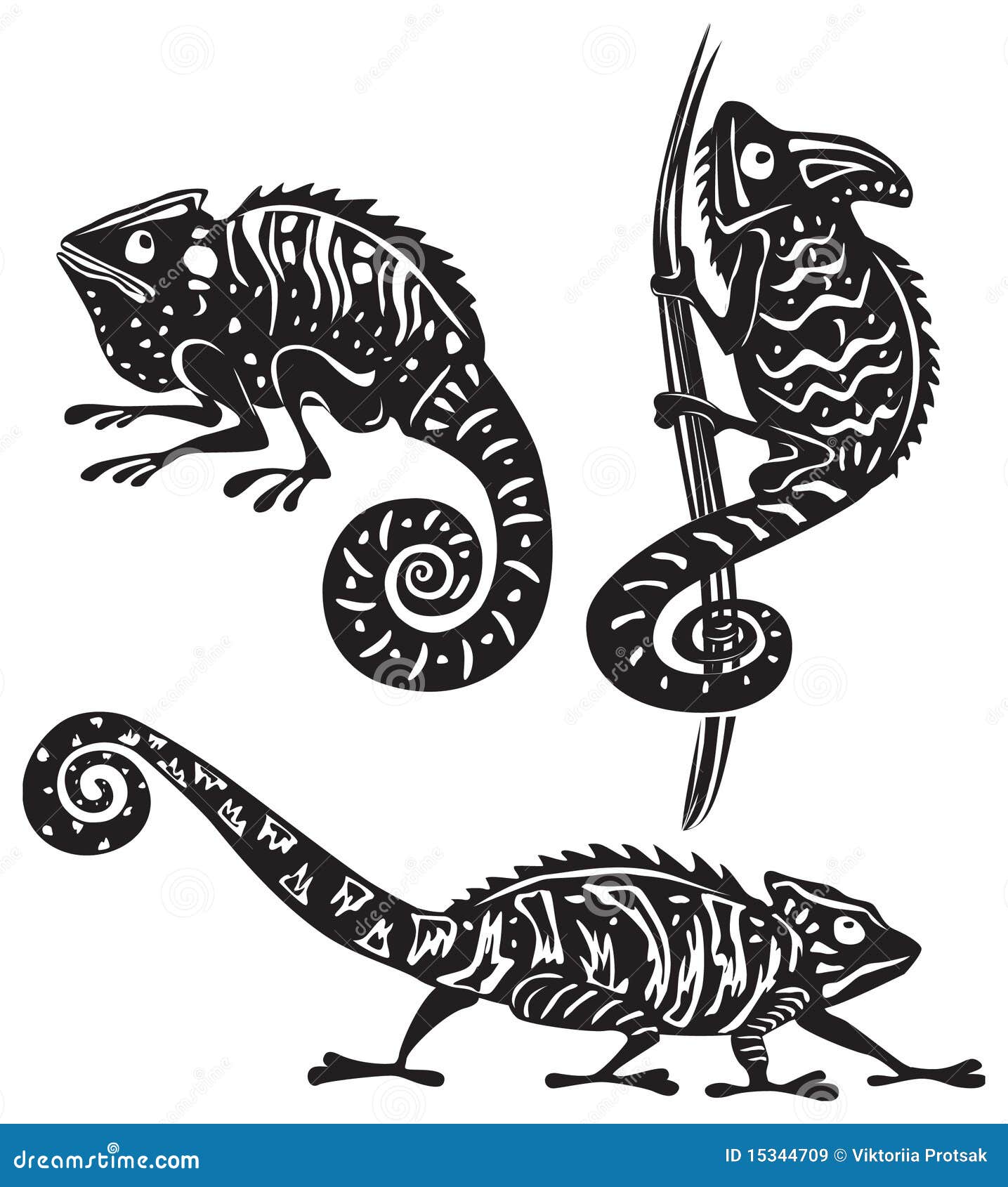 Zwart-Wit Kameleon Vector Illustratie. Illustration Of Camouflage - 15344709