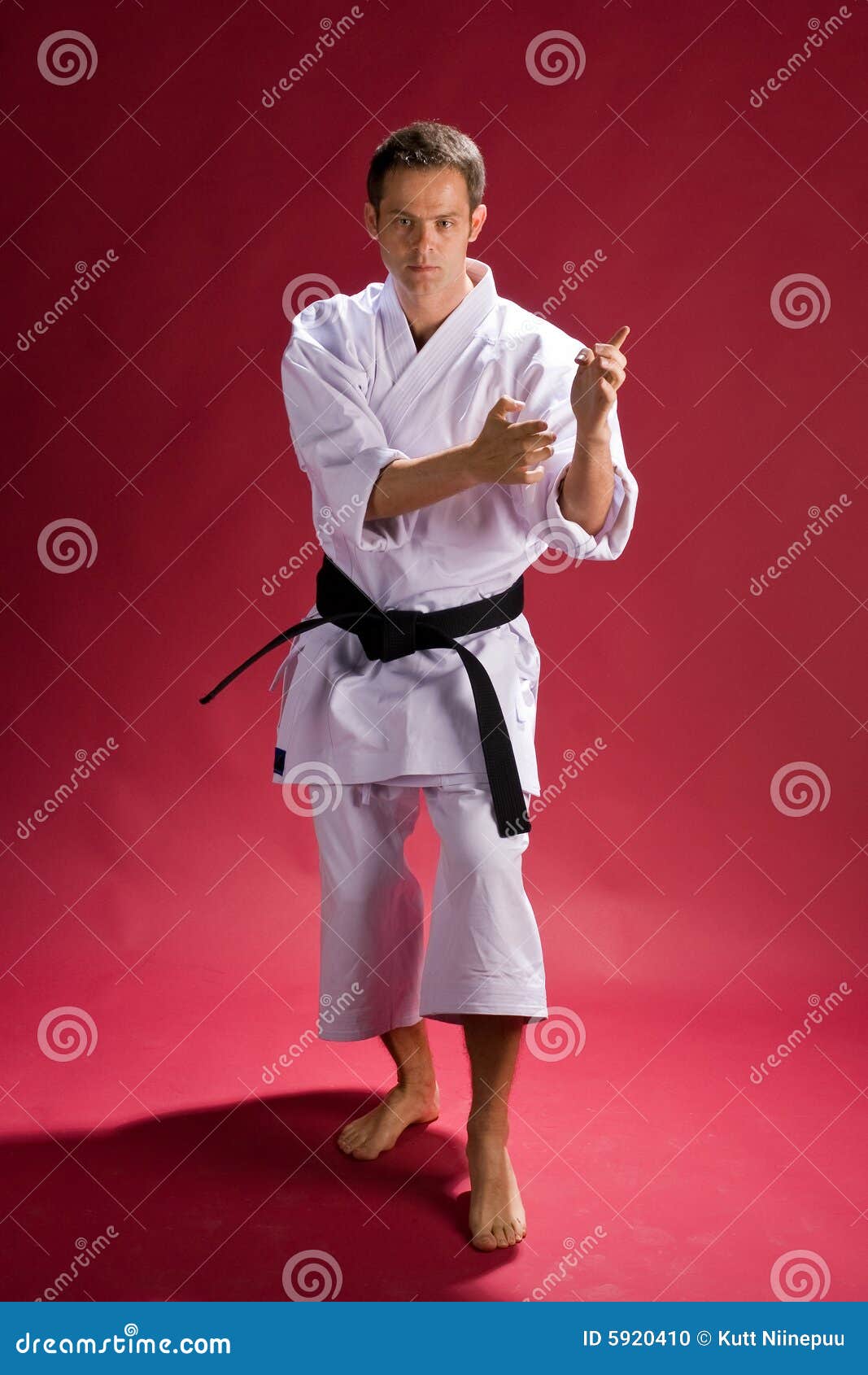 Zwarte band in karate stock foto. Image of portret, stel 5920410