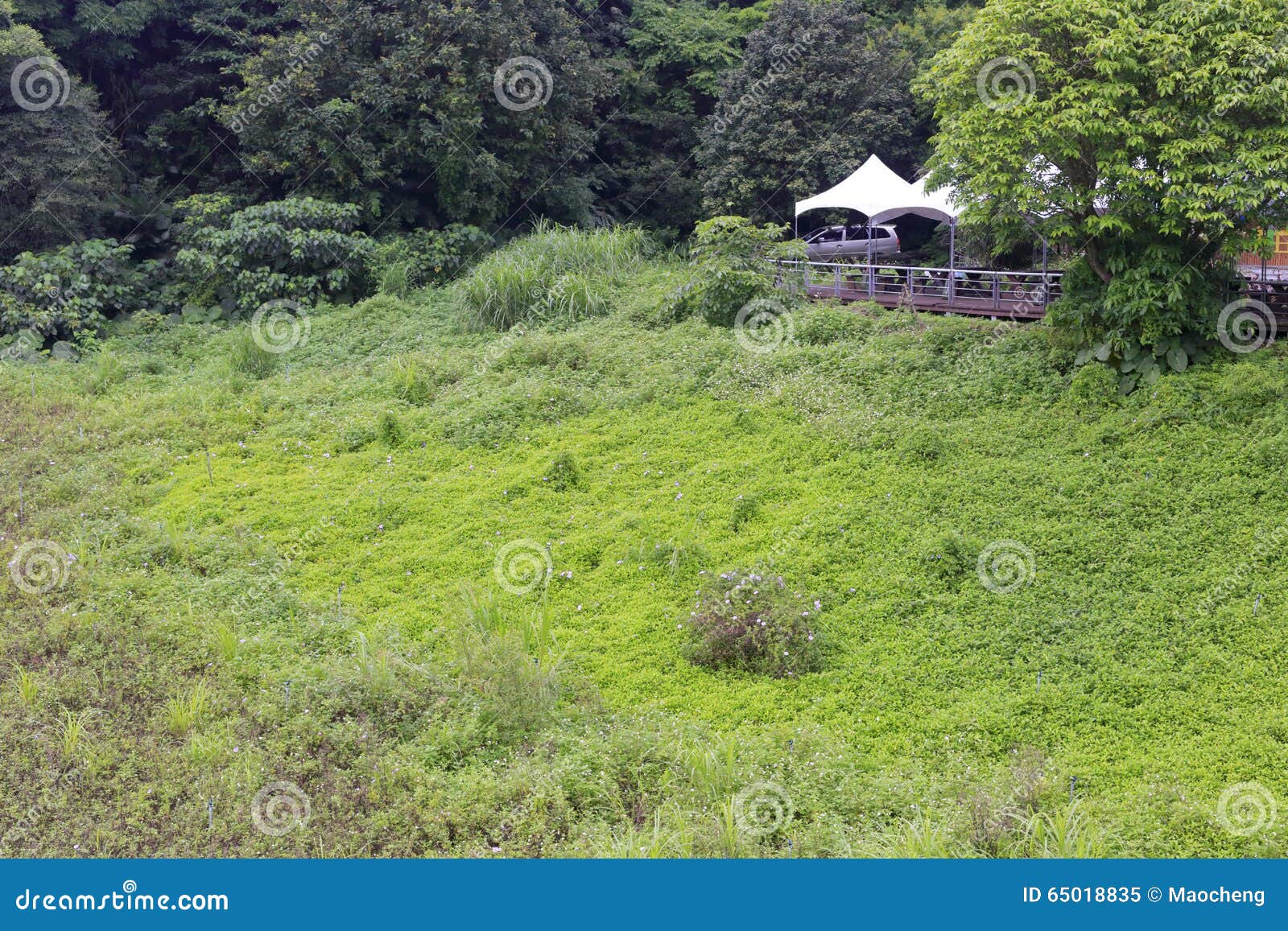 Zwarty lasowy rekreacyjny teren w wulaokeng scenicznym punkcie, ilan okręg administracyjny, Taiwan