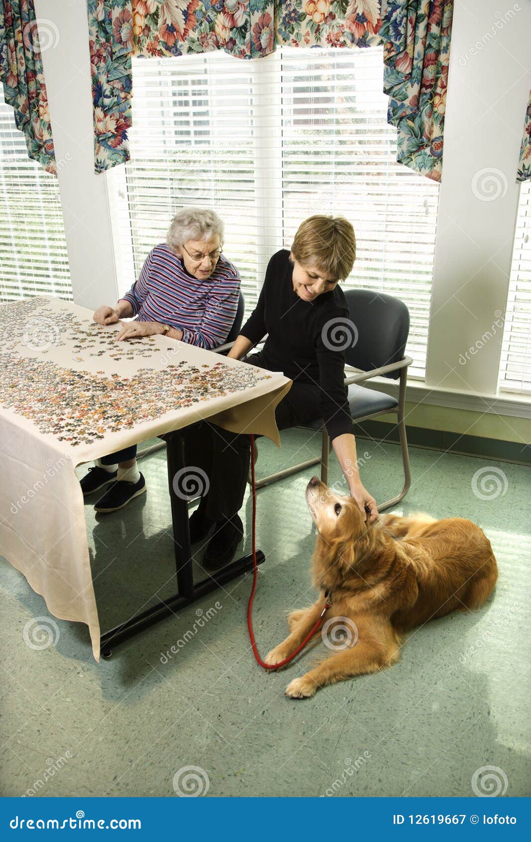 Zwei Frauen mit Hund stockbild. Bild von altern, tochter 12619667