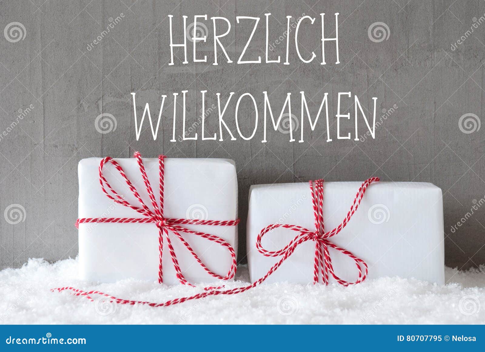 Willkommen, liebe Schneefreunde!