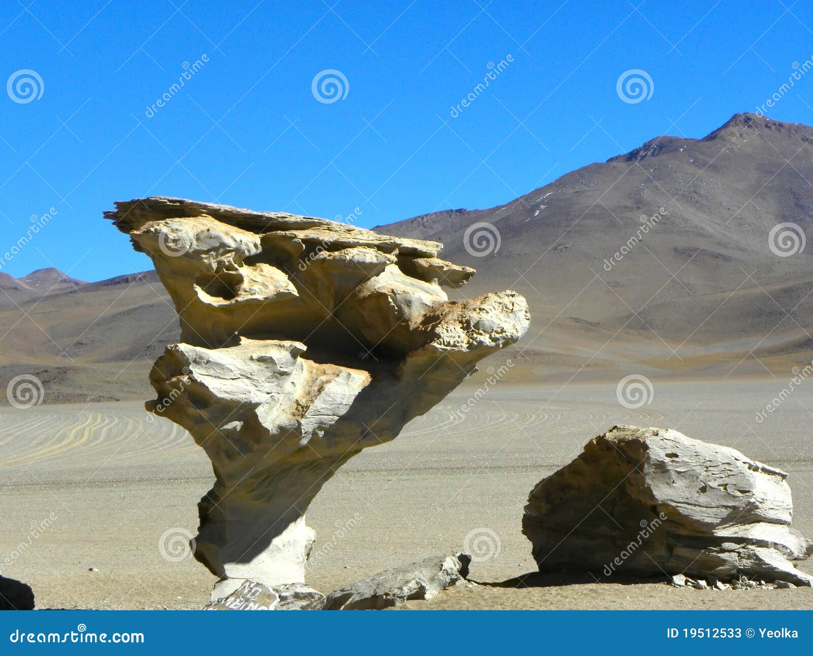 ÃÂrbol de piedra, altiplano, bolivia