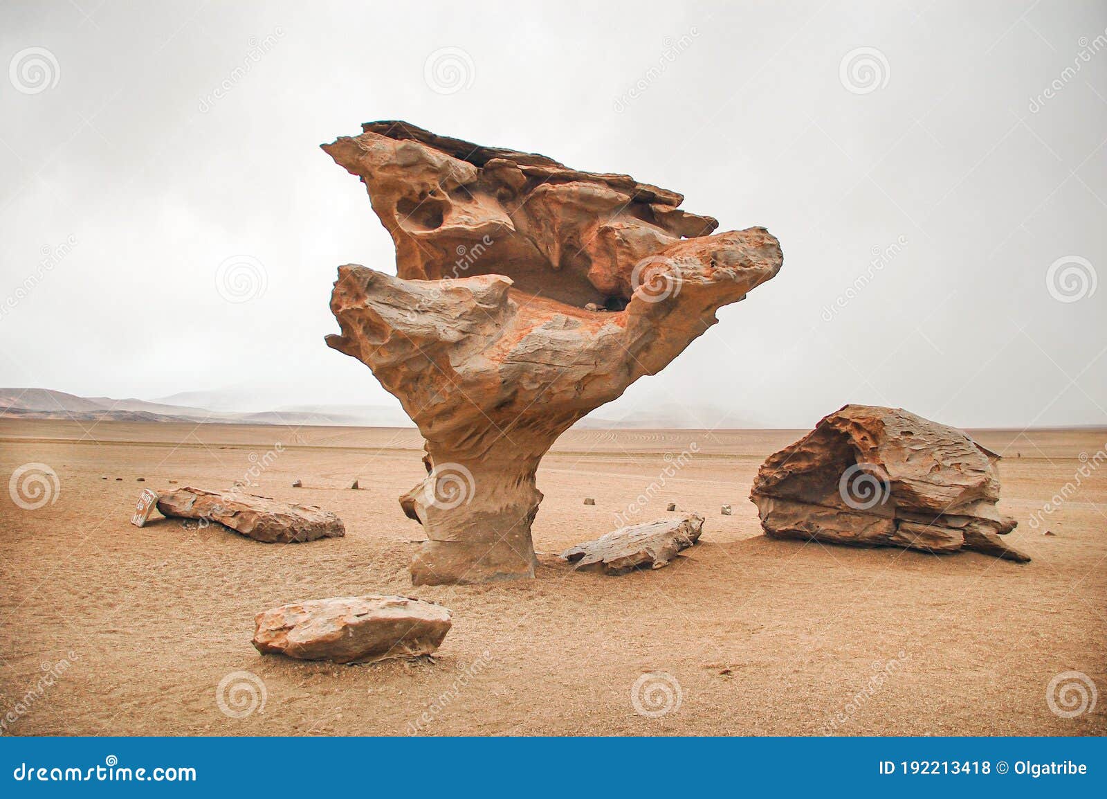 stone tree, rock formation of bolivia.