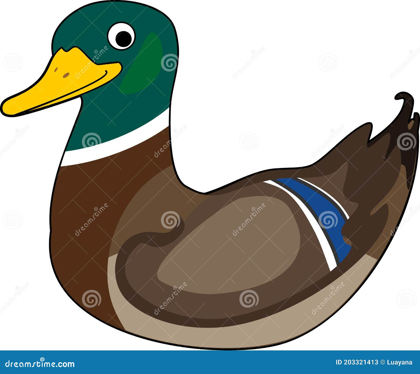 Cartoon Mallard Duck | CartoonDealer.com #30555649
