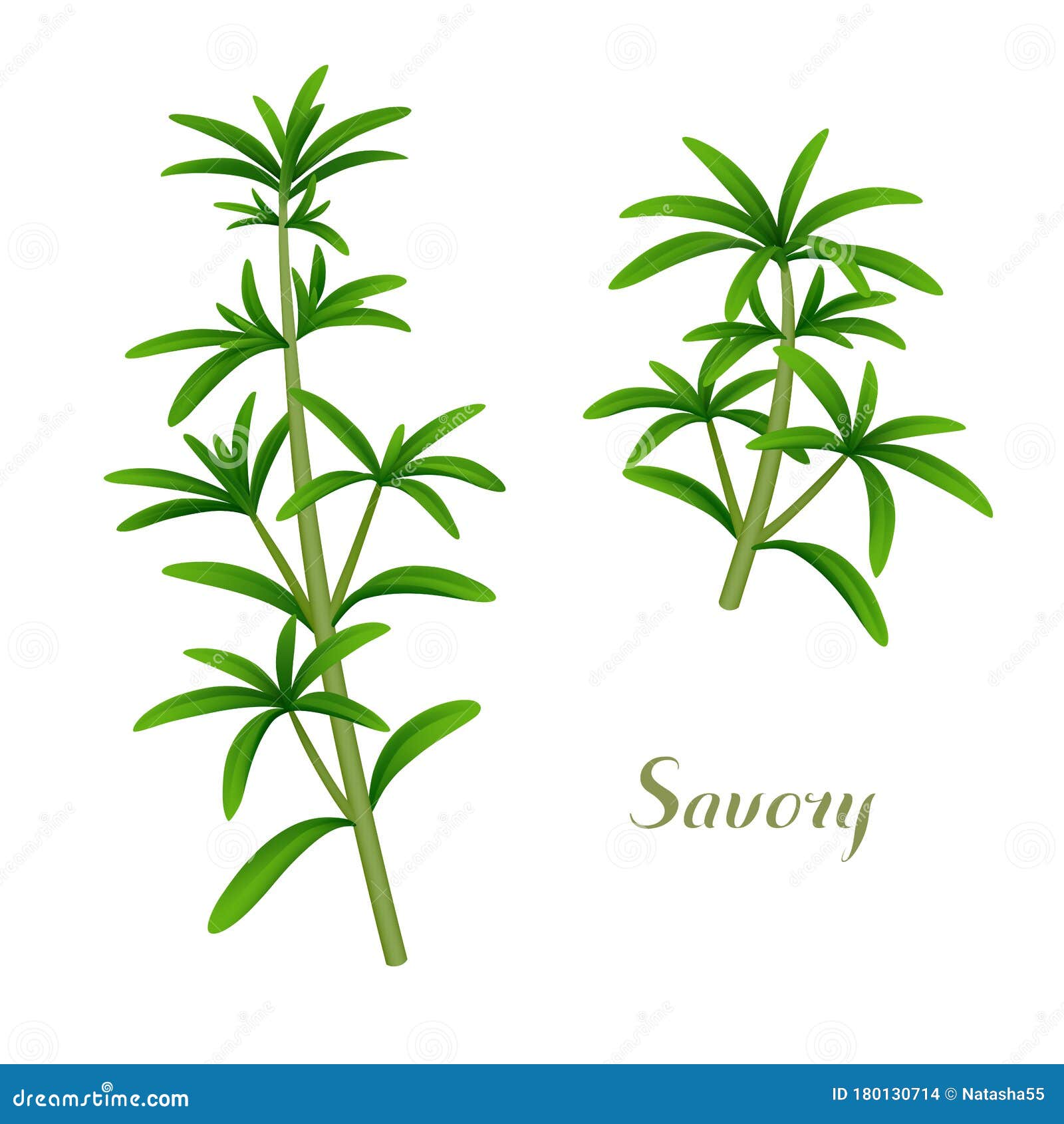 Savory Cartoons, Illustrations & Vector Stock Images 7489 Pictures to