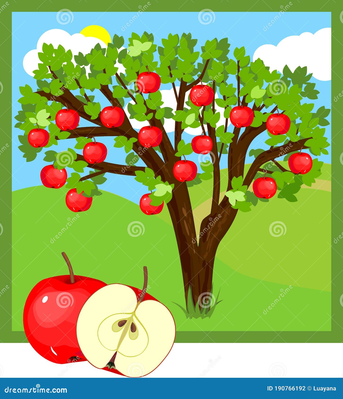 My Image 12