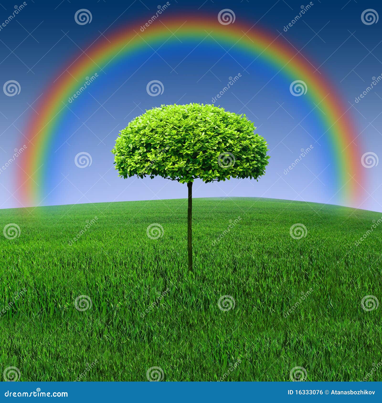 Árbol del arco iris foto de archivo. Imagen de tierra 16333076