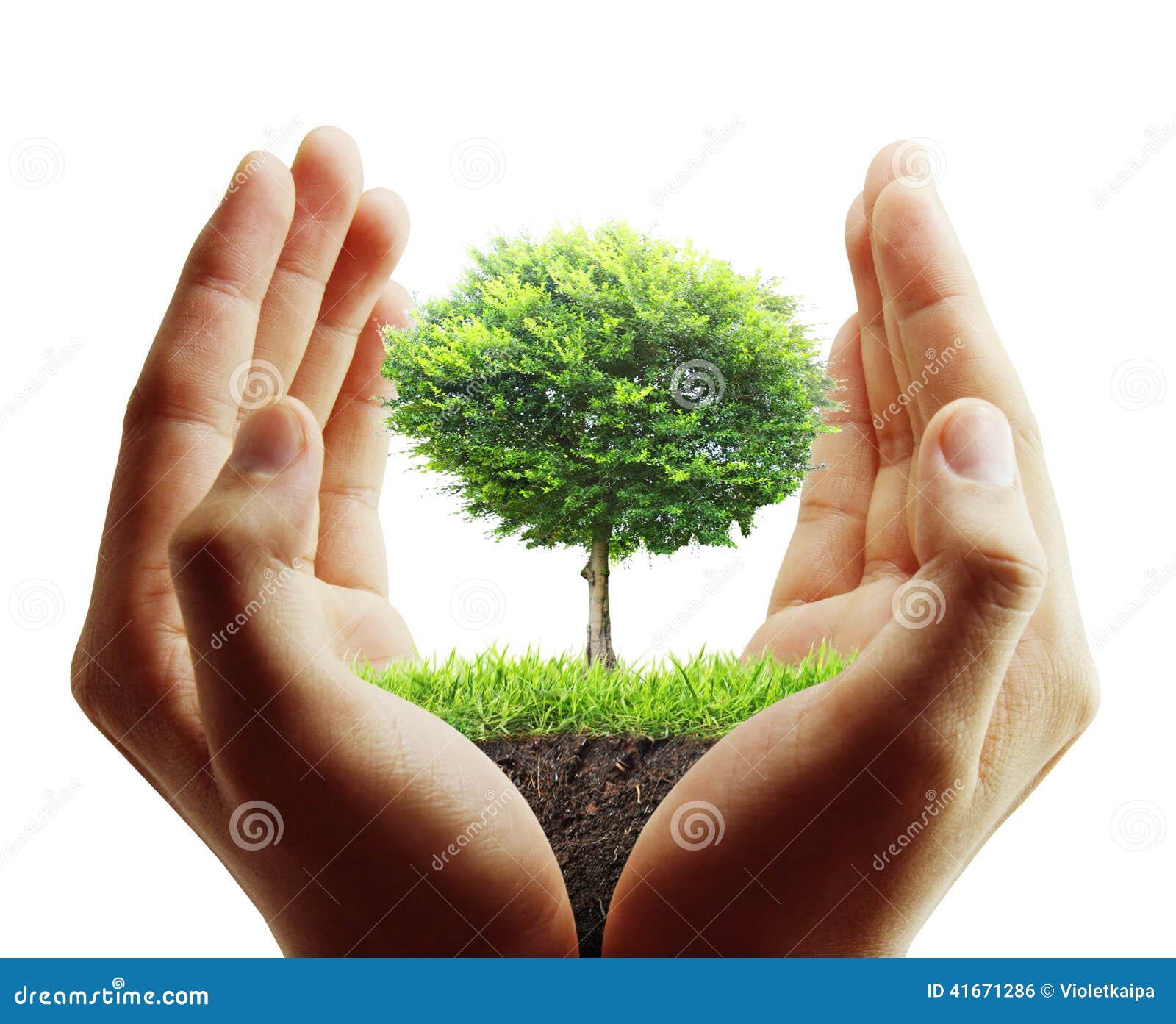 Árbol, planta en la mano foto de archivo. Imagen de mano 41671286