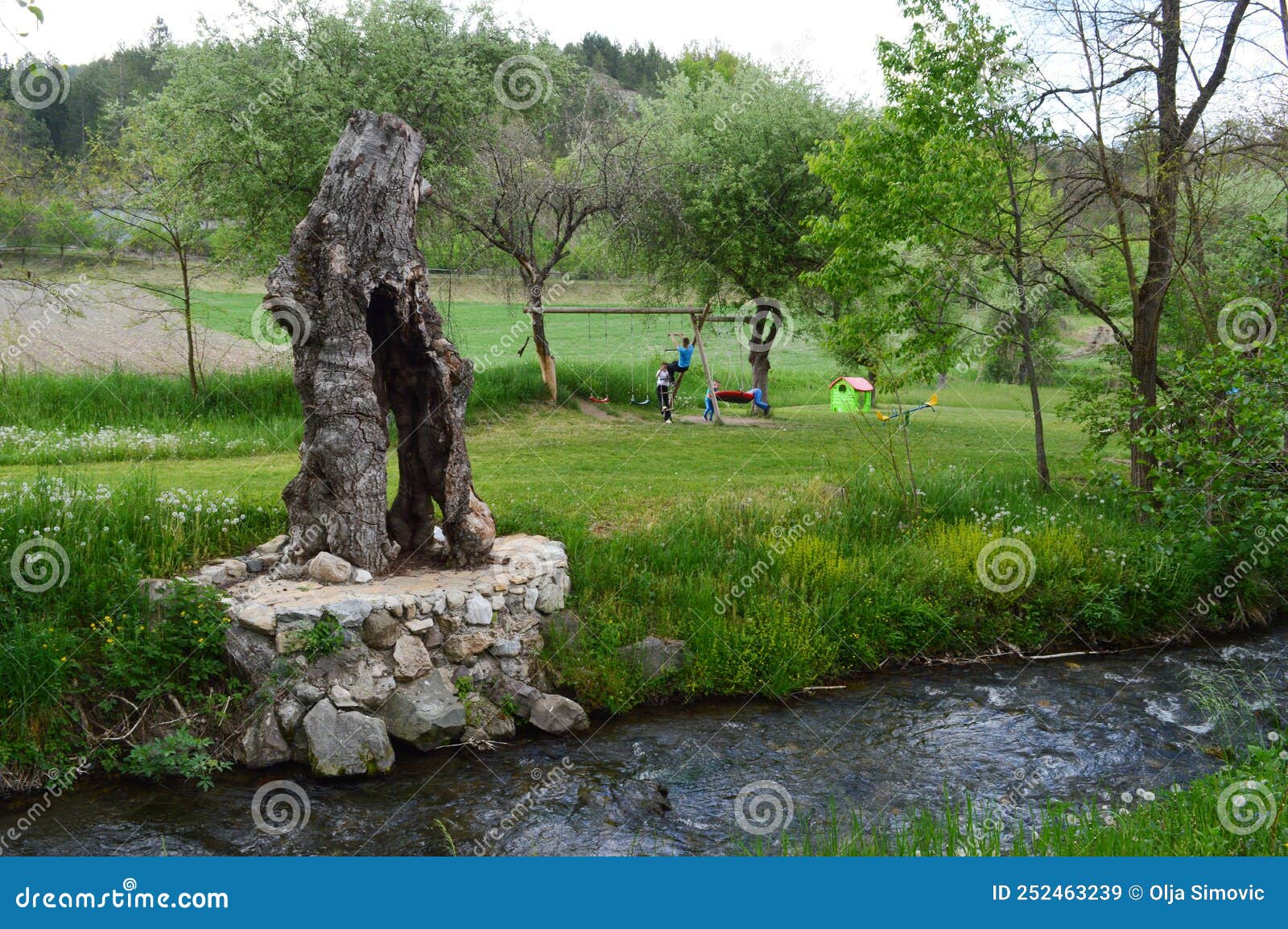 área De Picnic Junto Al Río Imagen de archivo Imagen de hierba