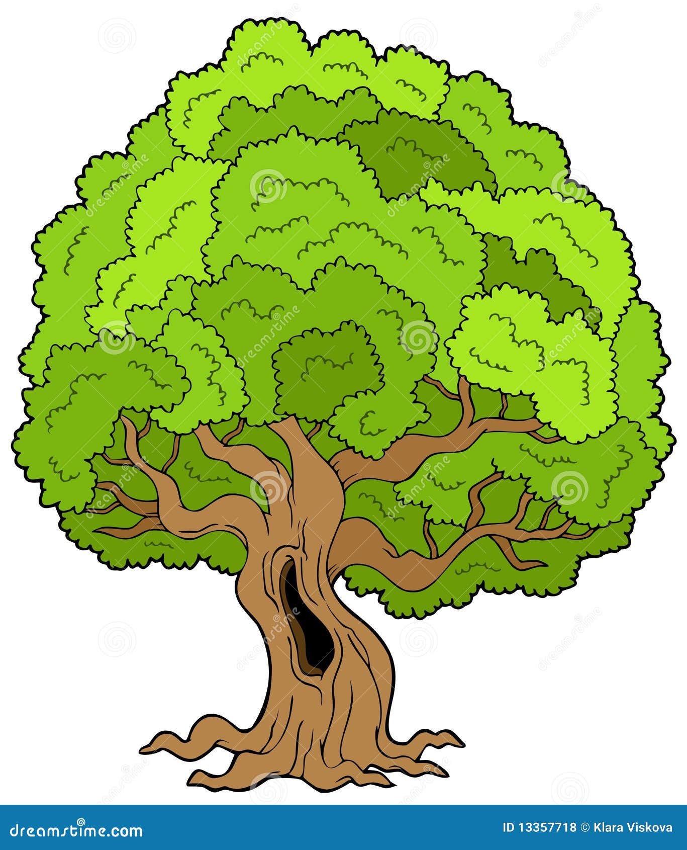 Árvore frondosa grande - ilustração.