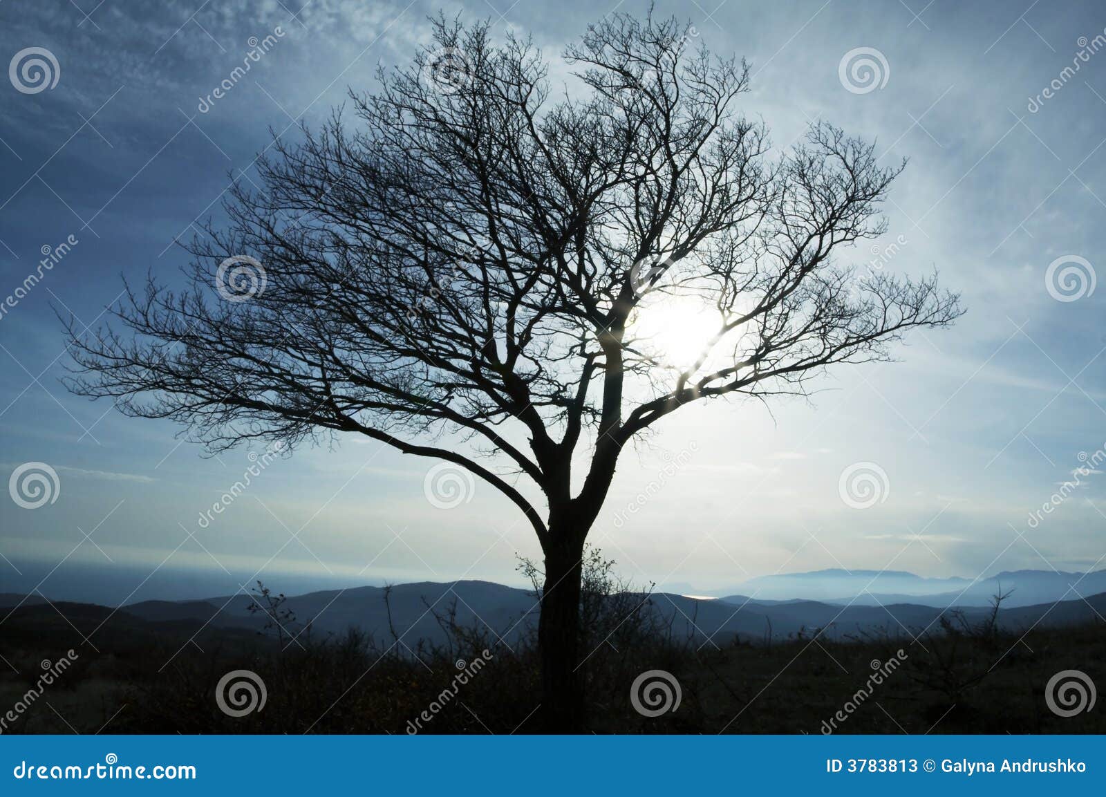 Árvore sozinha nos montes azuis